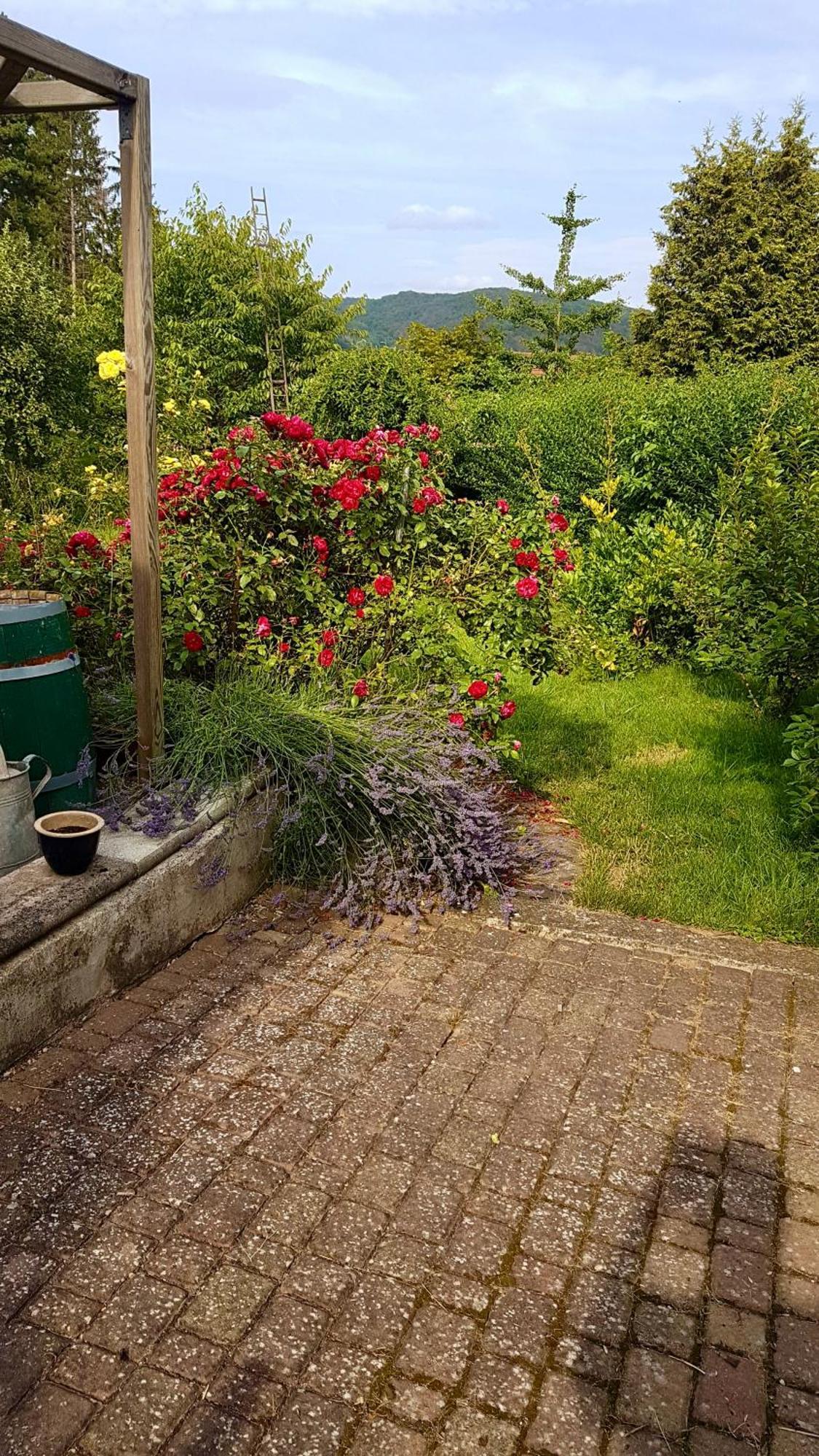 Ferienwohnung Kespergarten Витценхаузен Экстерьер фото