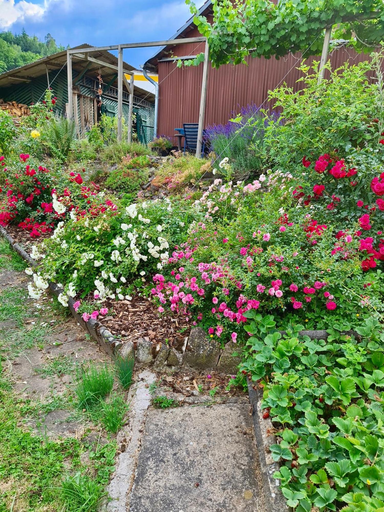 Ferienwohnung Kespergarten Витценхаузен Экстерьер фото